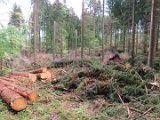 2022-05-20 - Tornado beim Sturmtief Emmelinde Solling - Steinlade bis Gehren (01)